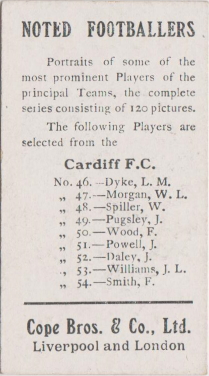 CARDIFF FC 120 back